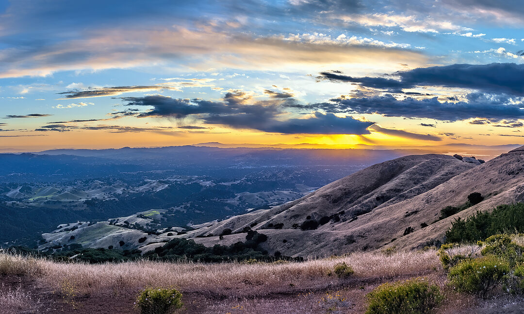 There’s a Lot to Love About Walnut Creek, CA